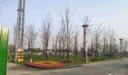 周口森林公园爆料视频最新,探秘神秘自然奇观，揭秘生态旅游新热点！