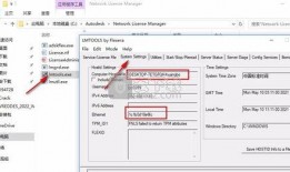 最新回响爆料视频下载安装